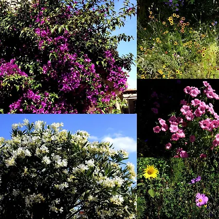 Les 2 Dauphins Quarto em Acomodações Particulares *