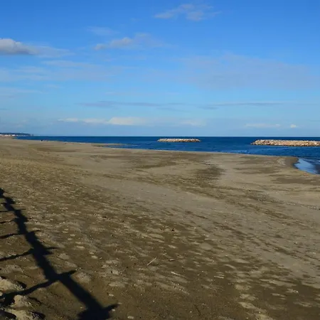 Les 2 Dauphins לה ברקרה