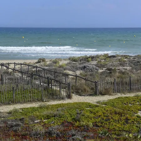 Les 2 Dauphins לה ברקרה