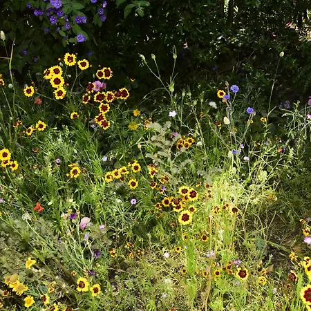 בית אירוח Les 2 Dauphins