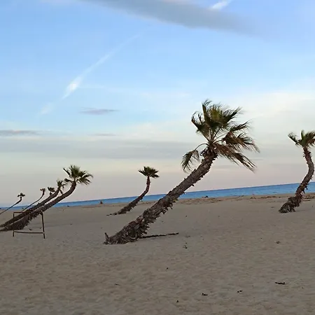 Les 2 Dauphins בית אירוח לה ברקרה