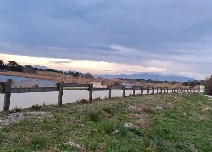 Les 2 Dauphins Проживание в семье *