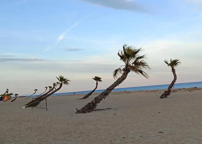 Les 2 Dauphins Проживание в семье Ле Баркарес